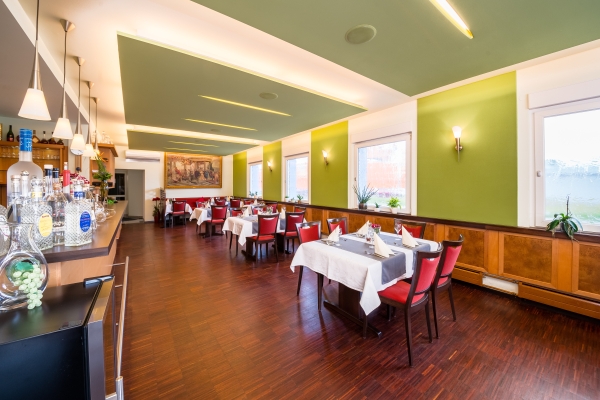 Hotel Vater Rhein (Wörth am Rhein)